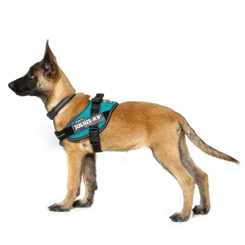 Police Dog Harnesses Leads Accessories Price Matched