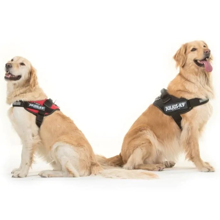 Julius K9 LDC Dog Powerharness